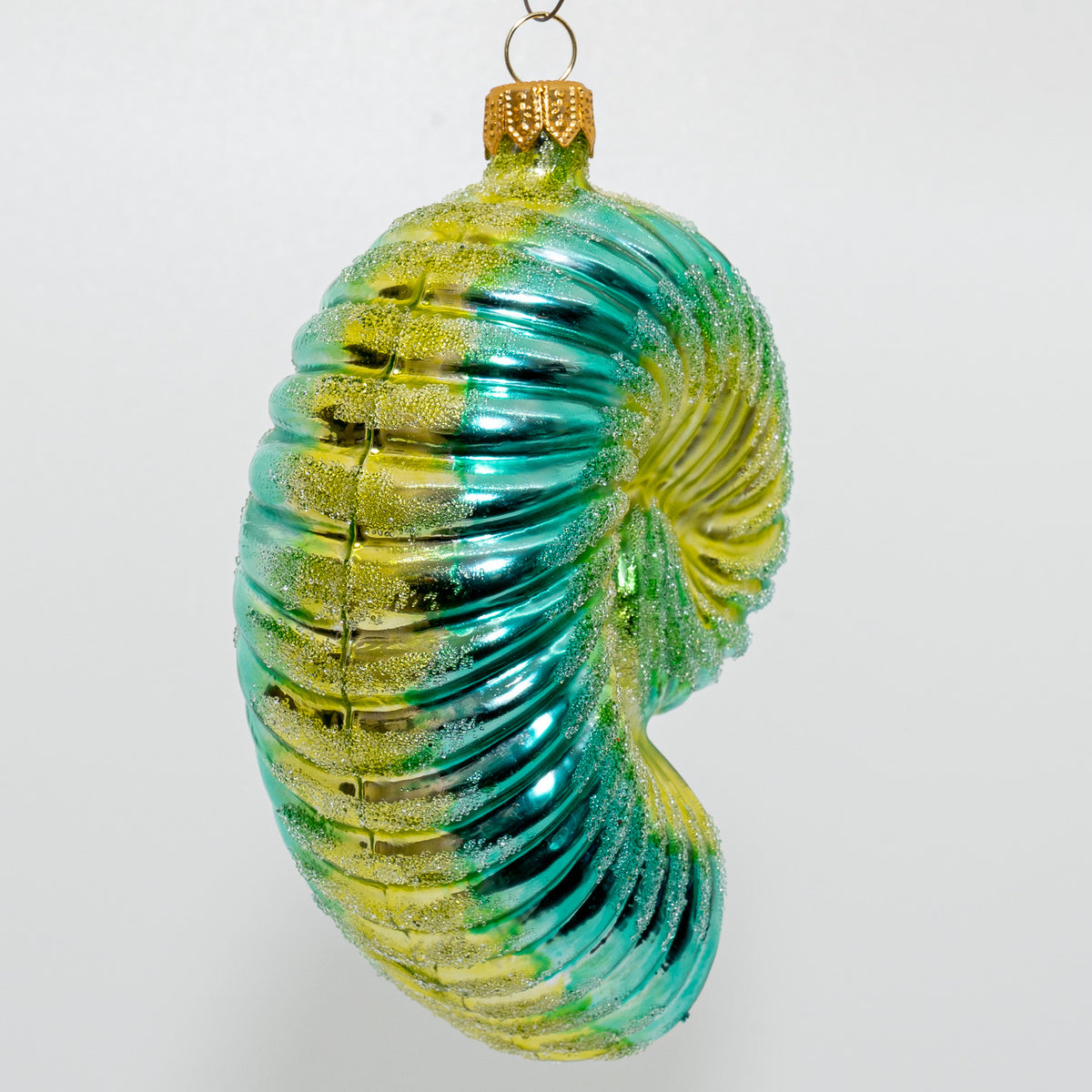 Stor nautilus