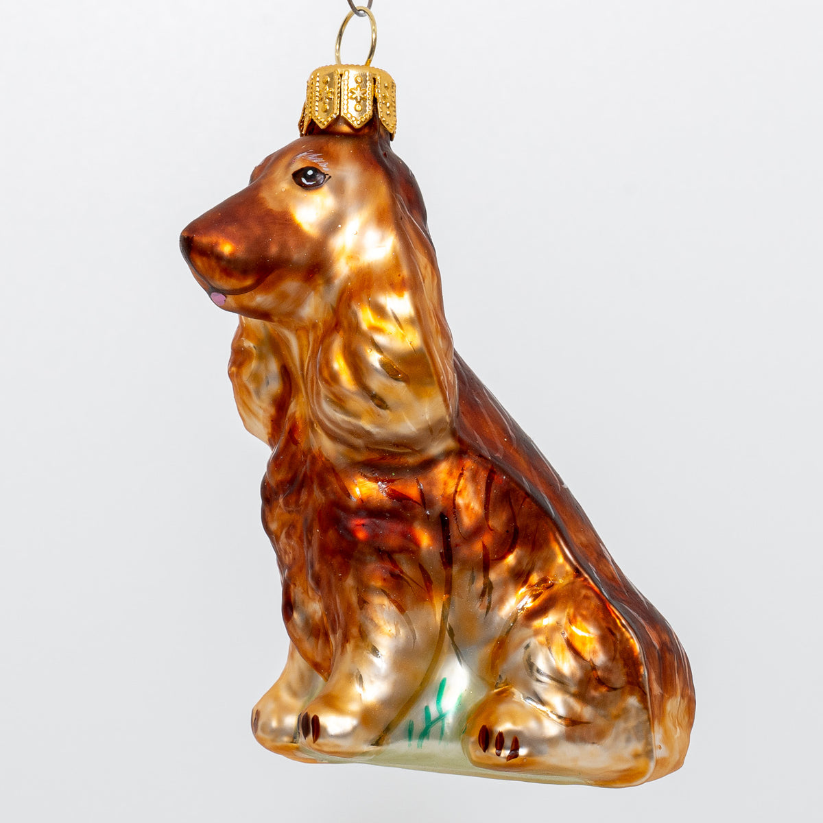 Cocker spaniel