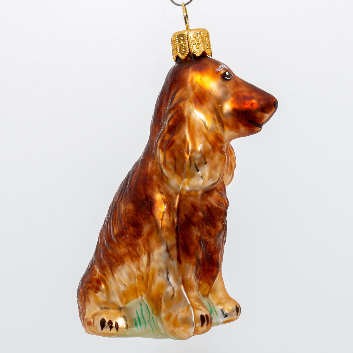 Cocker spaniel