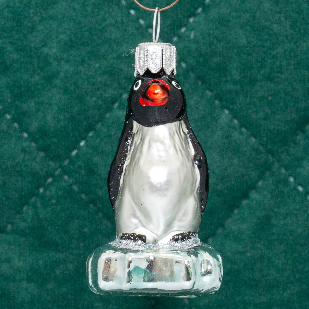 Mini pingvin på isflage