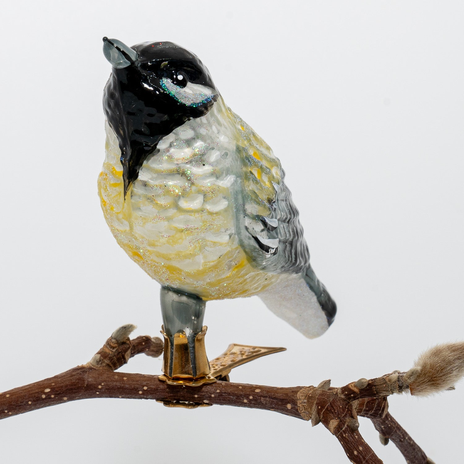 Musvit på klips, stor