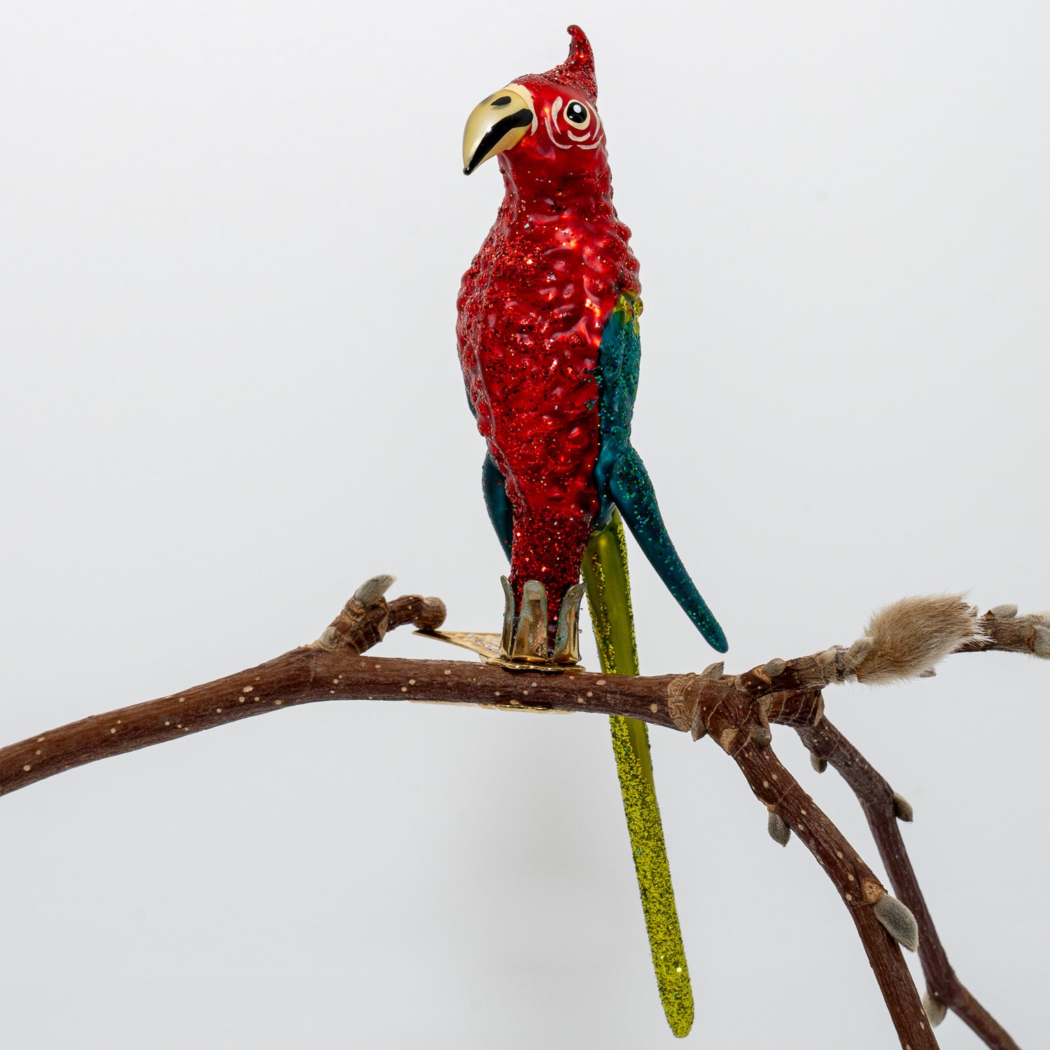 Papegøje på klips, med lang hale