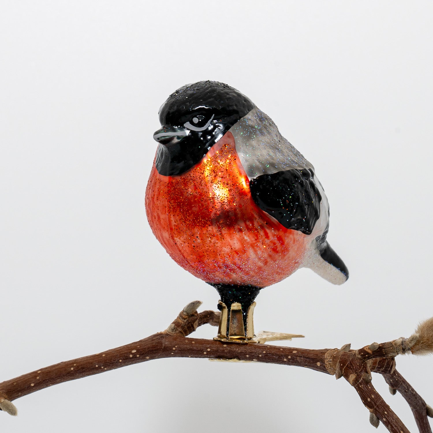 Dompap på klips, orange bryst