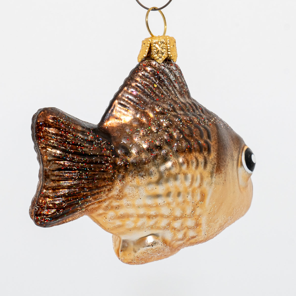 Guldfisk