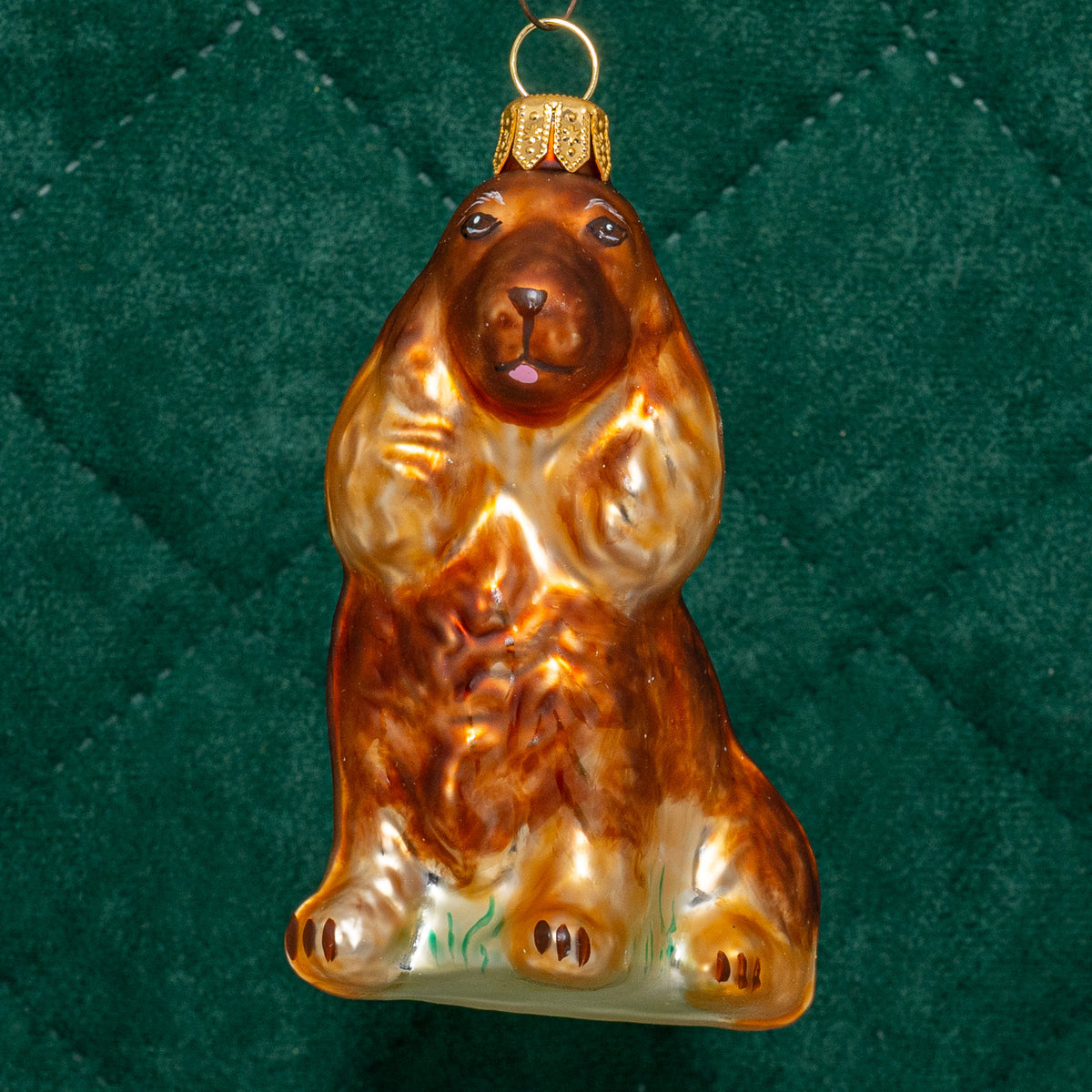 Cocker spaniel