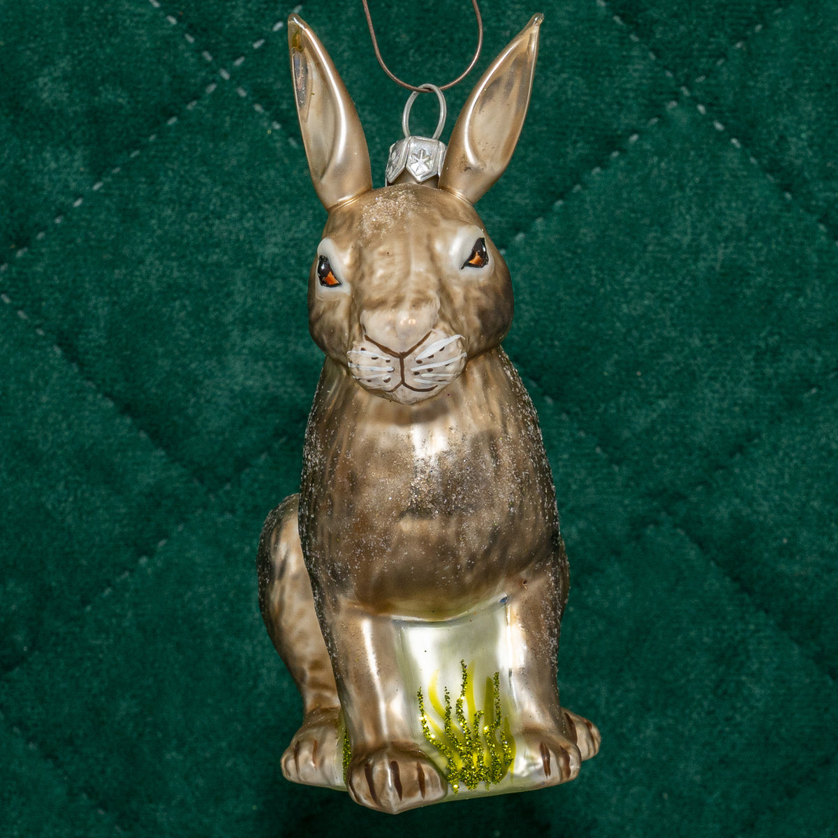Hare, grå