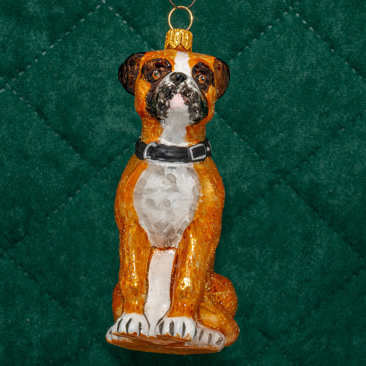 Boxer