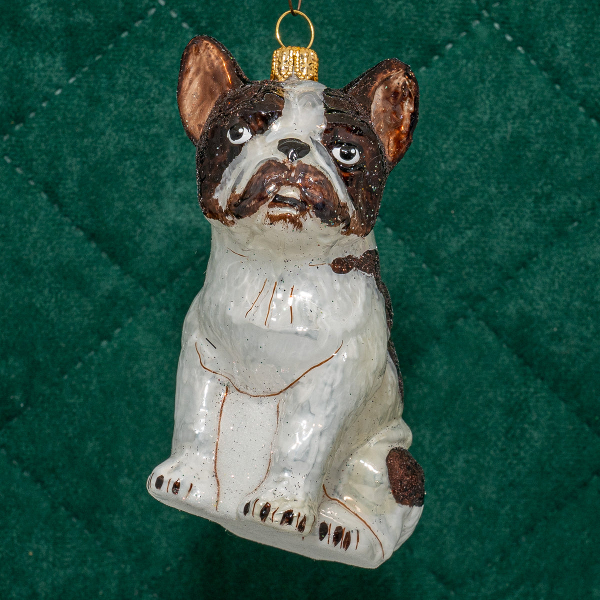 Fransk Bulldog sort/hvid