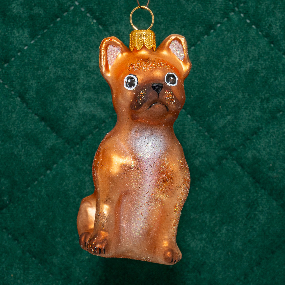 Fransk bulldog, brun