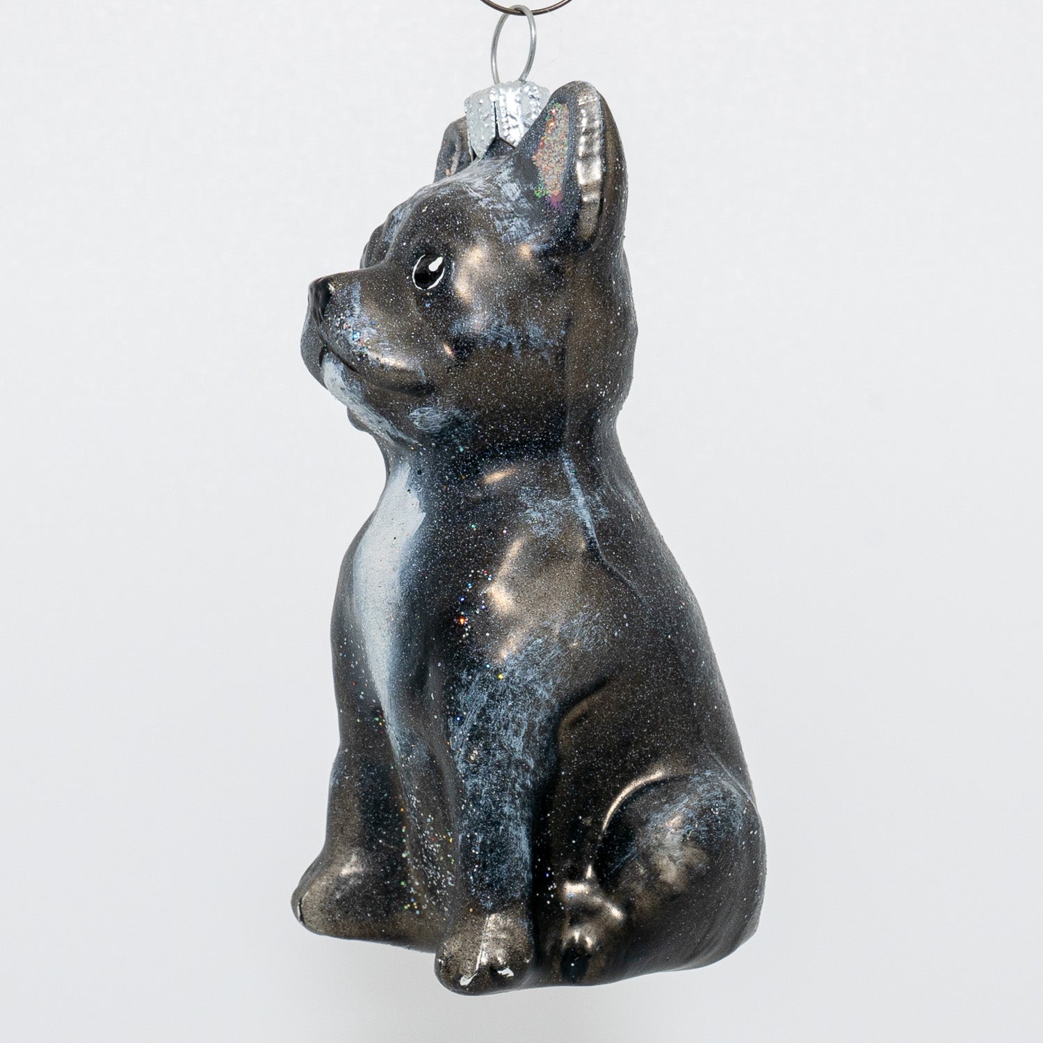 Fransk Bulldog, grå-sort