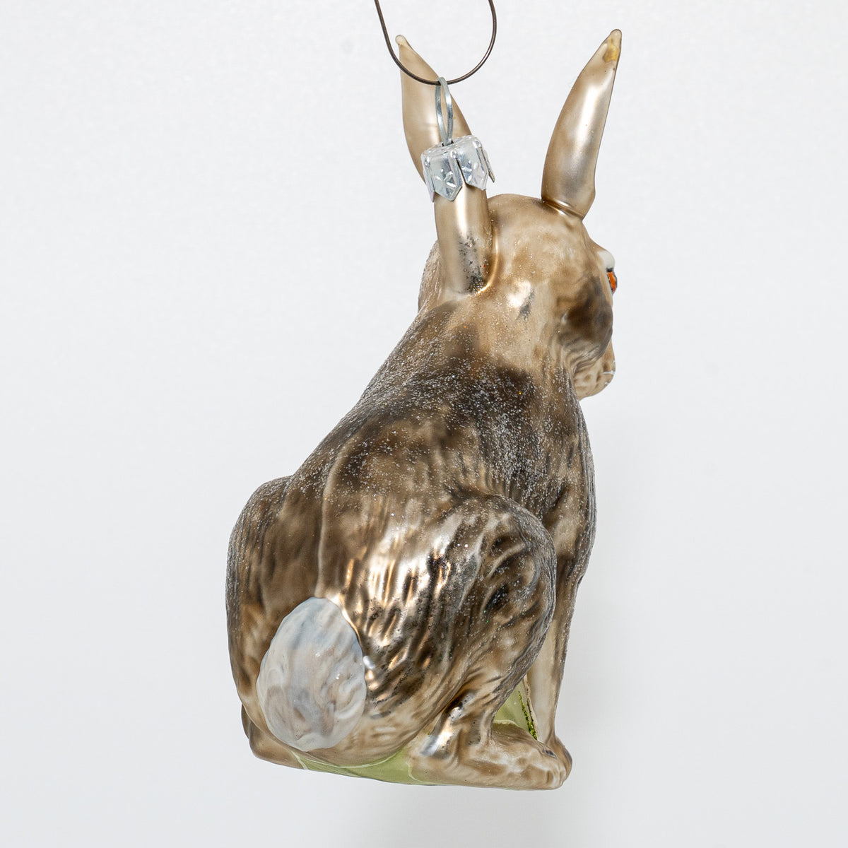 Hare, grå