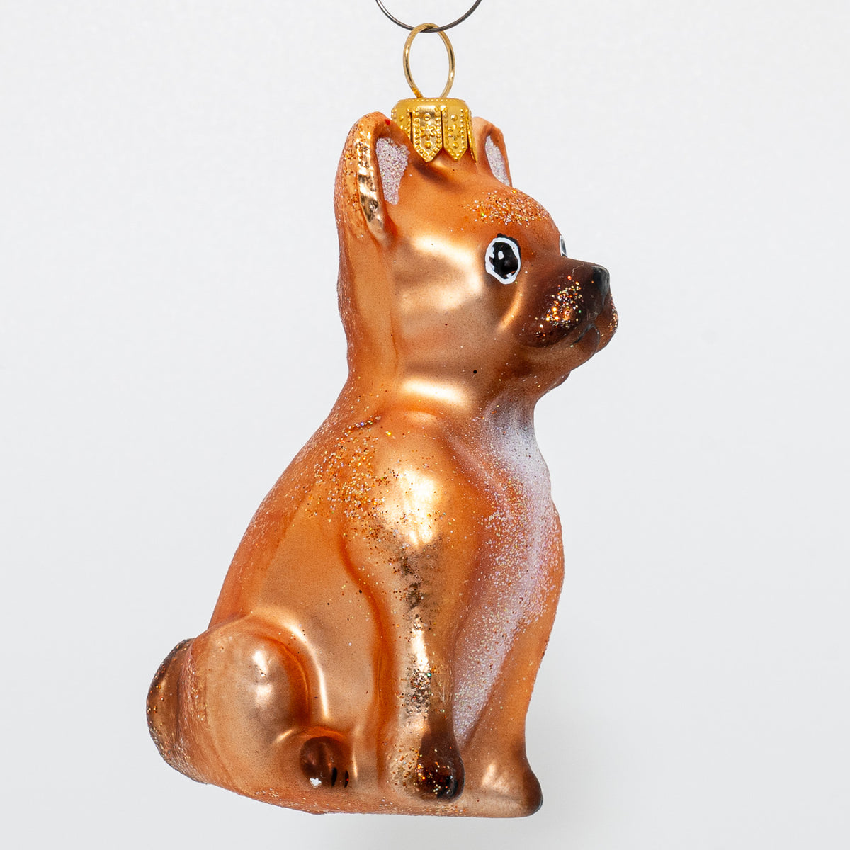 Fransk bulldog, brun
