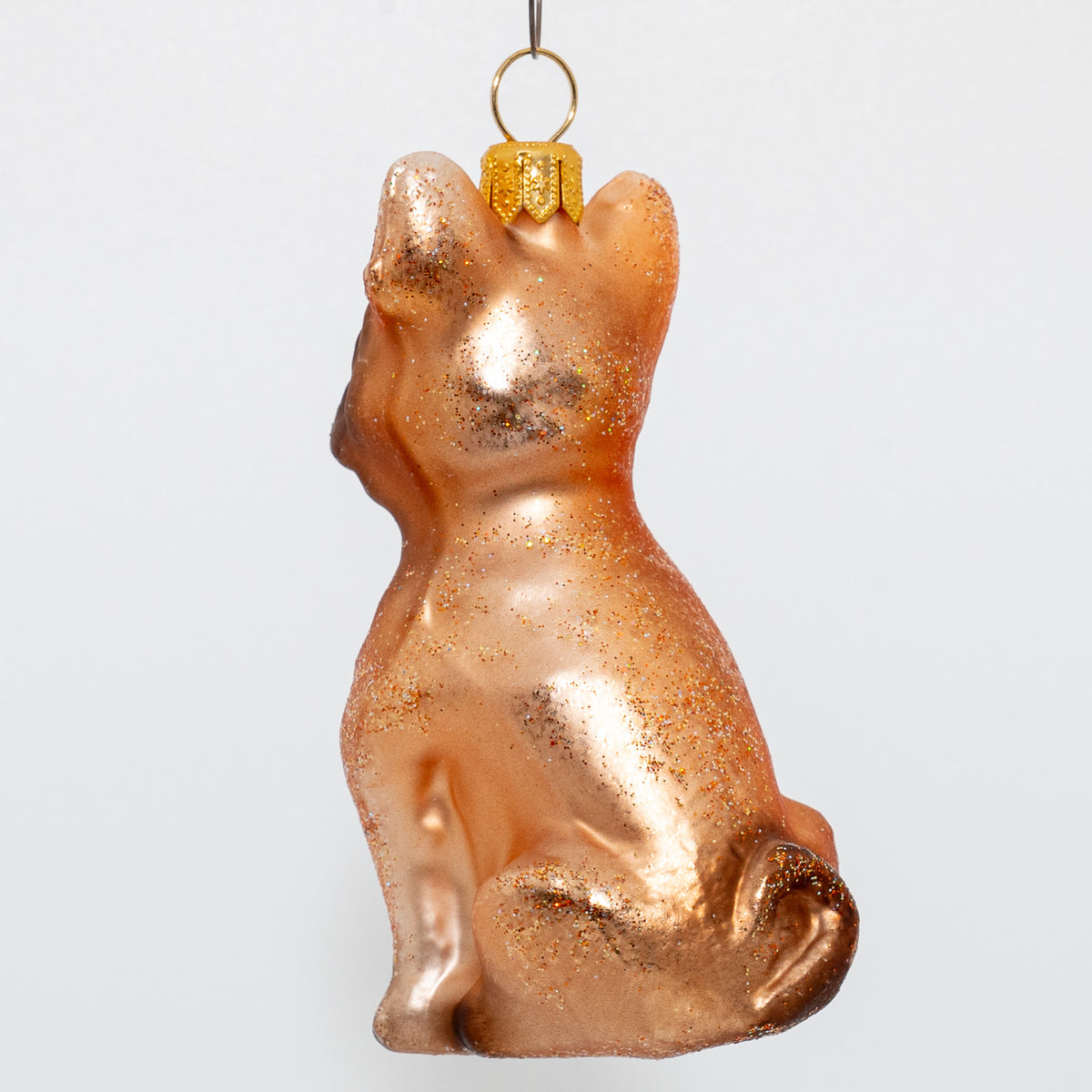Fransk bulldog, brun